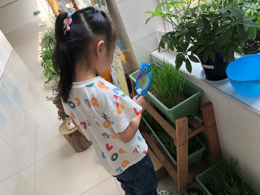 0361cd46c1c04e51bf671efd9e212b58.jpg