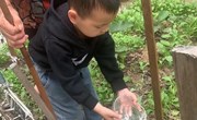 我给蔬菜浇浇水