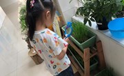 我会观察