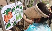 小尼的瓜田——种植园