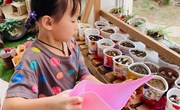 护绿小卫士
