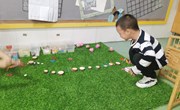 区域游戏：小碎件拼搭