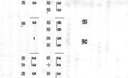 音乐：袋鼠
