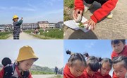 我和春天有个约会
