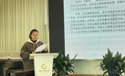 聚焦游戏 解读童心——港区幼儿园班级游戏案例分享活动