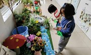 照顾植物宝宝
