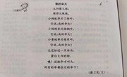 儿童诗：谁的伞大
