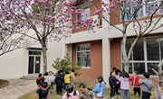 与广玉兰花的美好相遇