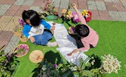 拓印花朵