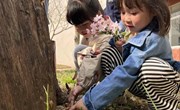这里有蘑菇耶