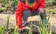 去种植地照顾植物宝宝啦！