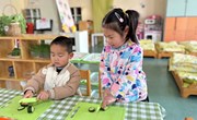 蔬菜切切乐