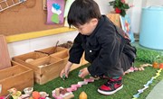 我的小菜园