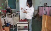 【木香文韵·家园】“伴”日开放 “育”见成长——港区幼儿园家长半日活动